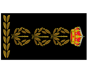 Divisa Comisario Principal