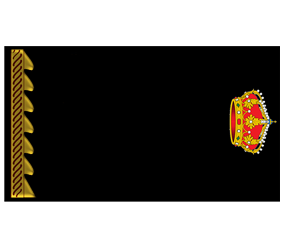 Divisa Inspector alumno 1er año