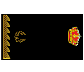 Divisa Inspector alumno 2º año