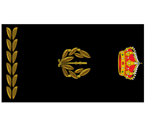 Divisa Inspector Jefe