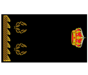 Divisa Inspector alumno en prácticas