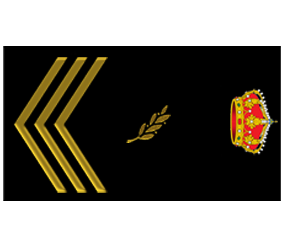 Divisa Oficial de Policía