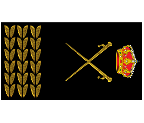 Divisa Subdirector General