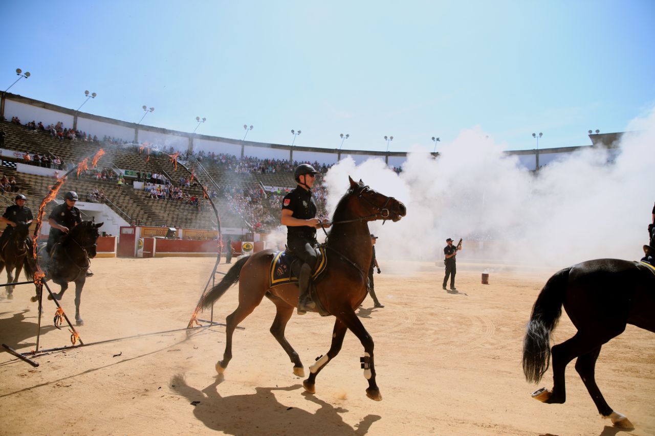 Exhibición de Caballería en la Plaza de Toros. Primer plano de diversos policías a caballo atravesando un gran aro ardiendo. 