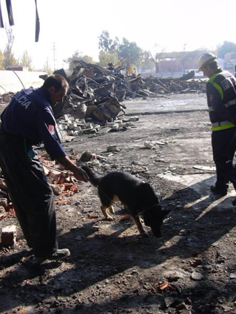 Un Policía Nacional de la Unidad de Guías Caninos rastrea el lugar donde se ha producido un incendio con un perro en busca de pruebas con otro agente.