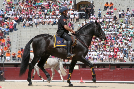 Exhibición a menores en una plaza de toros, dos Policías Nacionales de la Unidad de Caballería montados a caballo, realizando ejercicios.