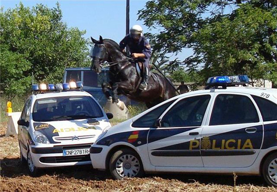 Un caballo de la Policía Nacional de color negro realiza un salto a dos vehículos tipo Zeta 