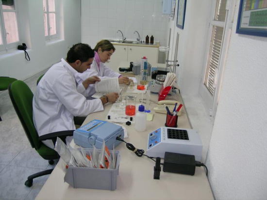 Dos personas trabajando en un laboratorio donde estudiar las muestras.