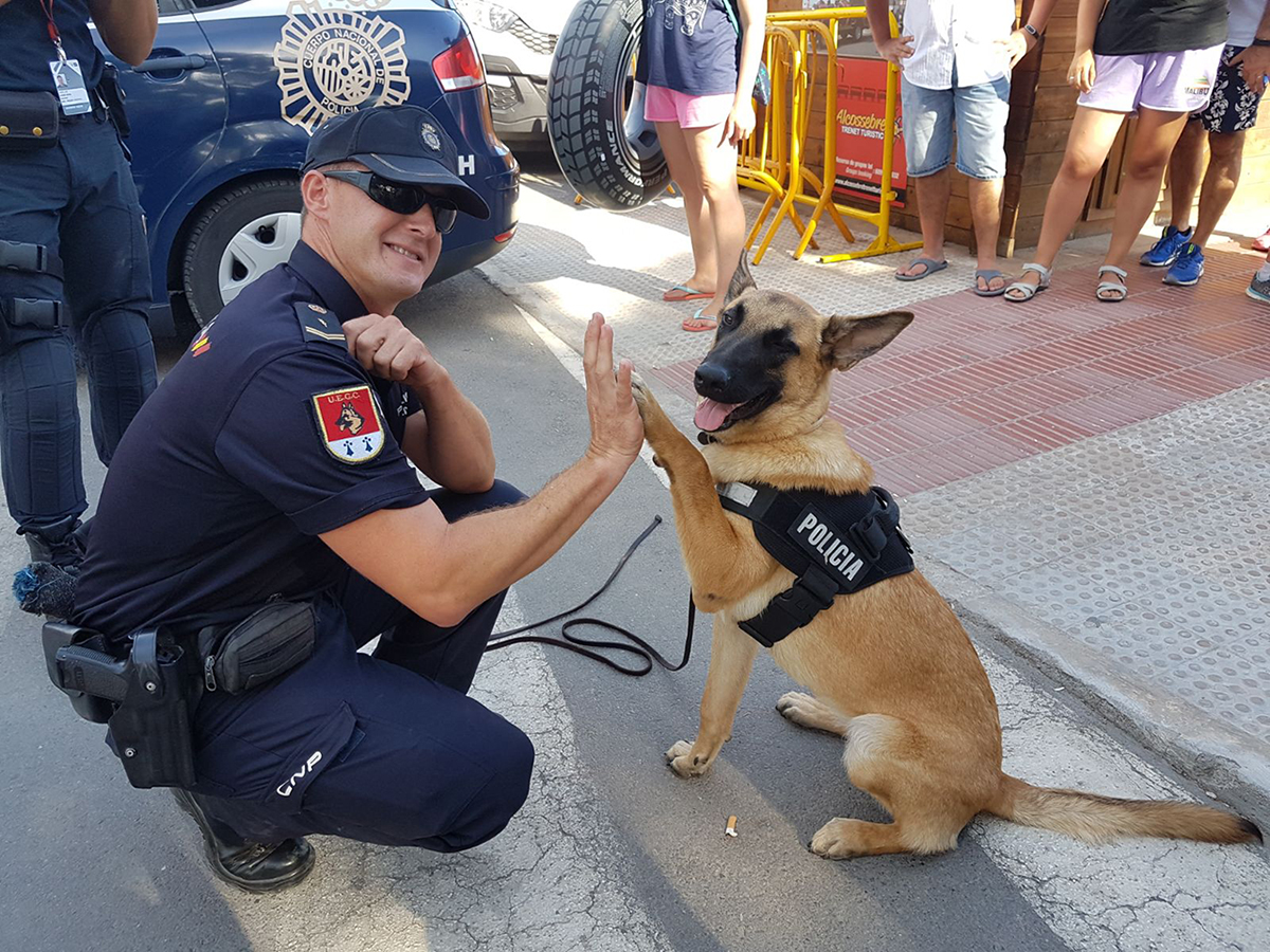Policía de la unidad de guías caninos con su perro en actitud divertida juntando su mano con la pata de su compañero canino