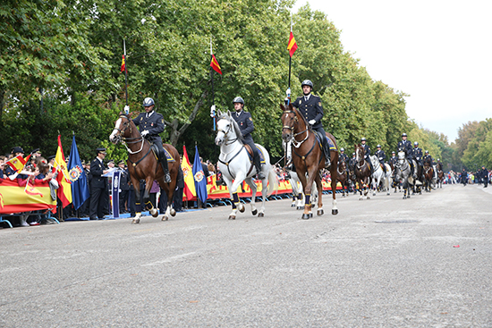 Desfile de la Unidad Especial de Caballería, uniformados con el traje de gala y formados en columnas de tres.
