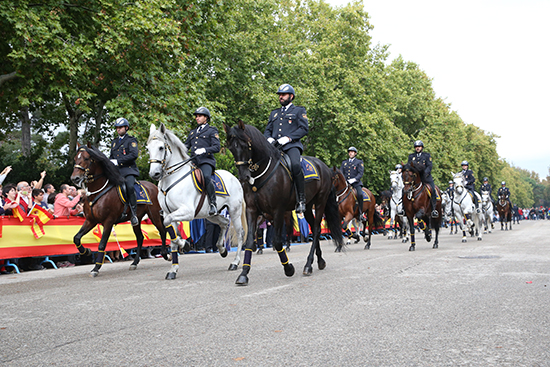 Desfile de la Unidad Especial de Caballería, uniformados con el traje de gala y formados en columnas de tres.