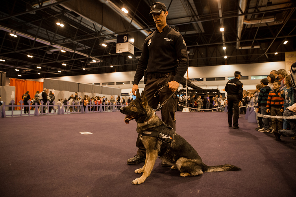 Policía de la Unidad de Guías Caninos con su perro, que permanece sentado junto a él.