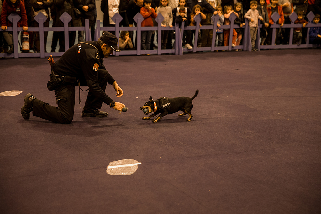 Guía canino actuando con su perro, durante la exhibición de la Unidad de Guías Caninos.
