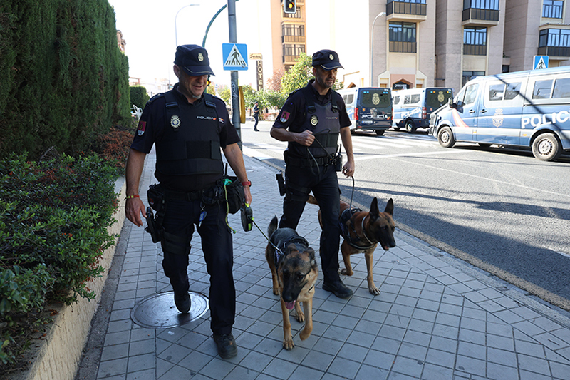 Fotografía de dos agentes de la Policía Nacional de la Unidad Especial de Guías Caninos, realizando labores de seguridad junto con sus canes.