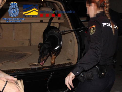 Una agente de policía con su compañero canino, que está en la parte de atrás de un vehículo 